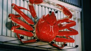 red crab wall decor